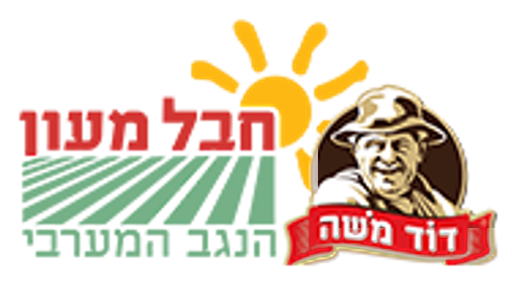 דוד משה