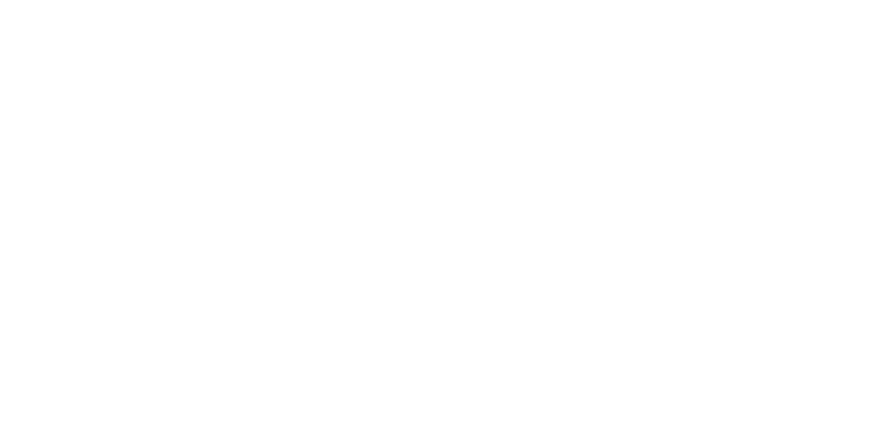 נינג׳ה