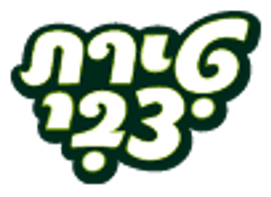 טירת צבי